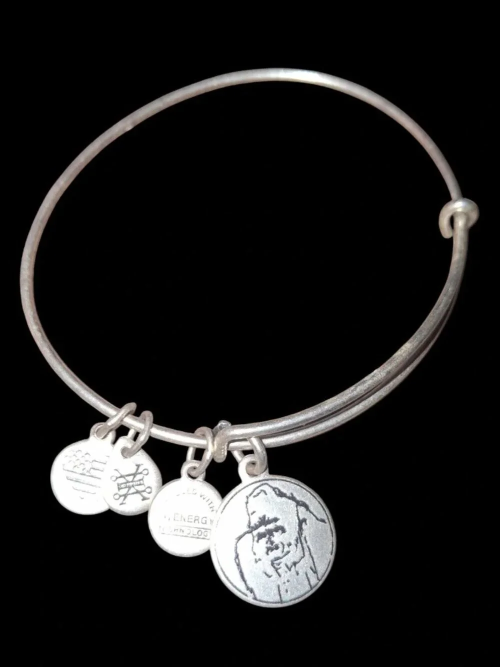Gorilla fund silvertone Alex and Ani bracelet